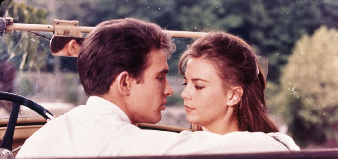 Splendor in the Grass BANNER