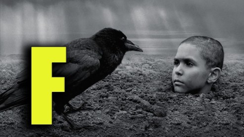 thepaintedbirdratingposter